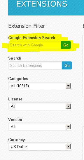 google-sitesearch-exten.jpg