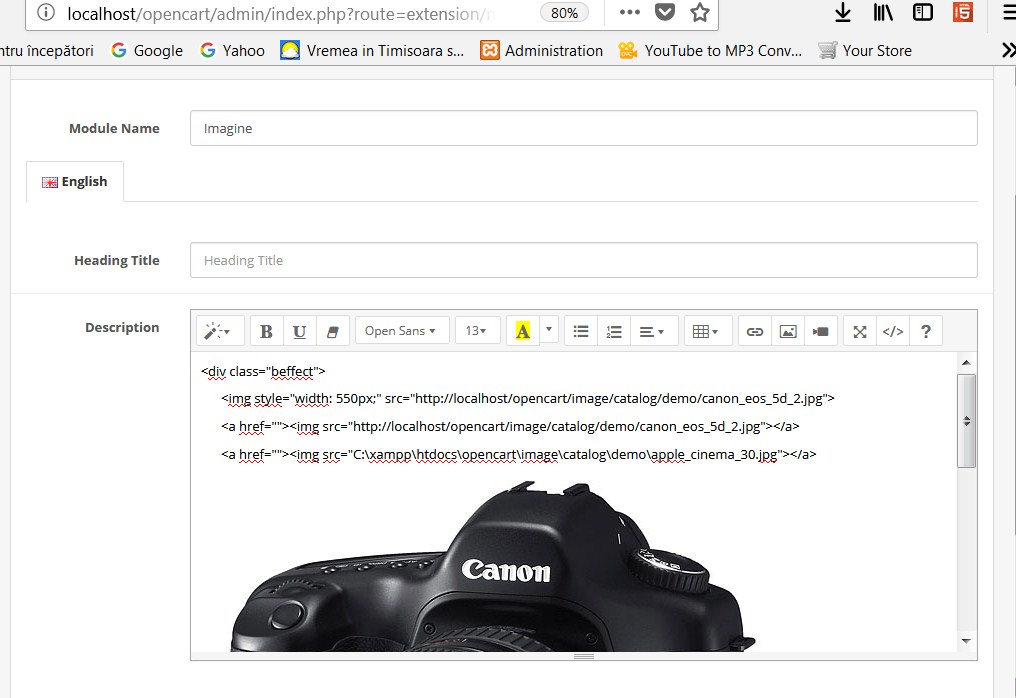 html module.jpg
