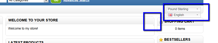 IE9_demo_store.png