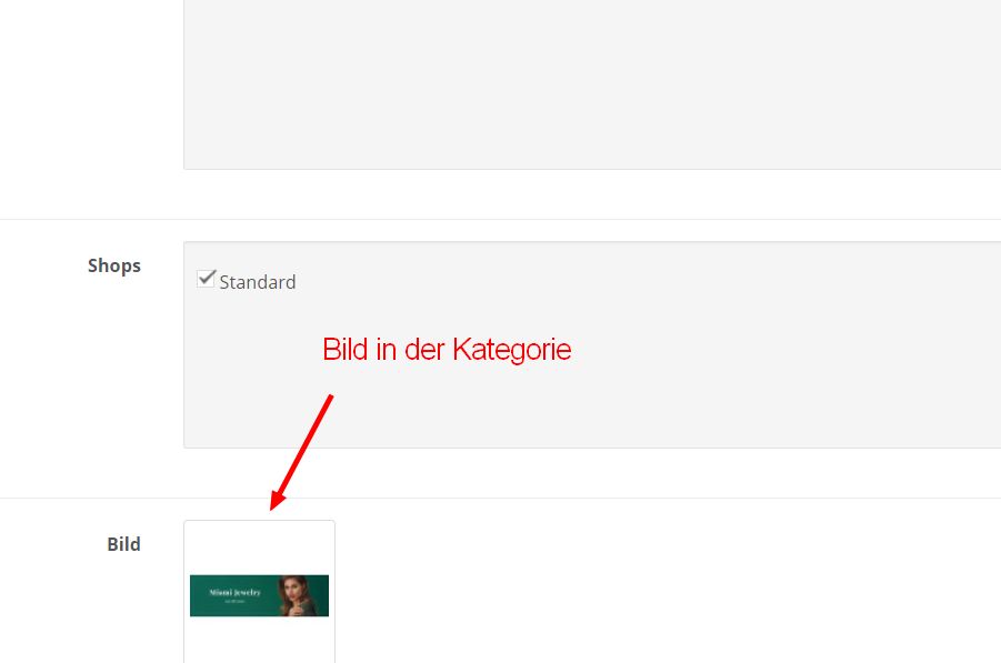 Kategorie-B1.jpg