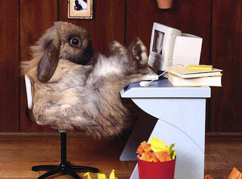 easterbunnyatpc.jpg