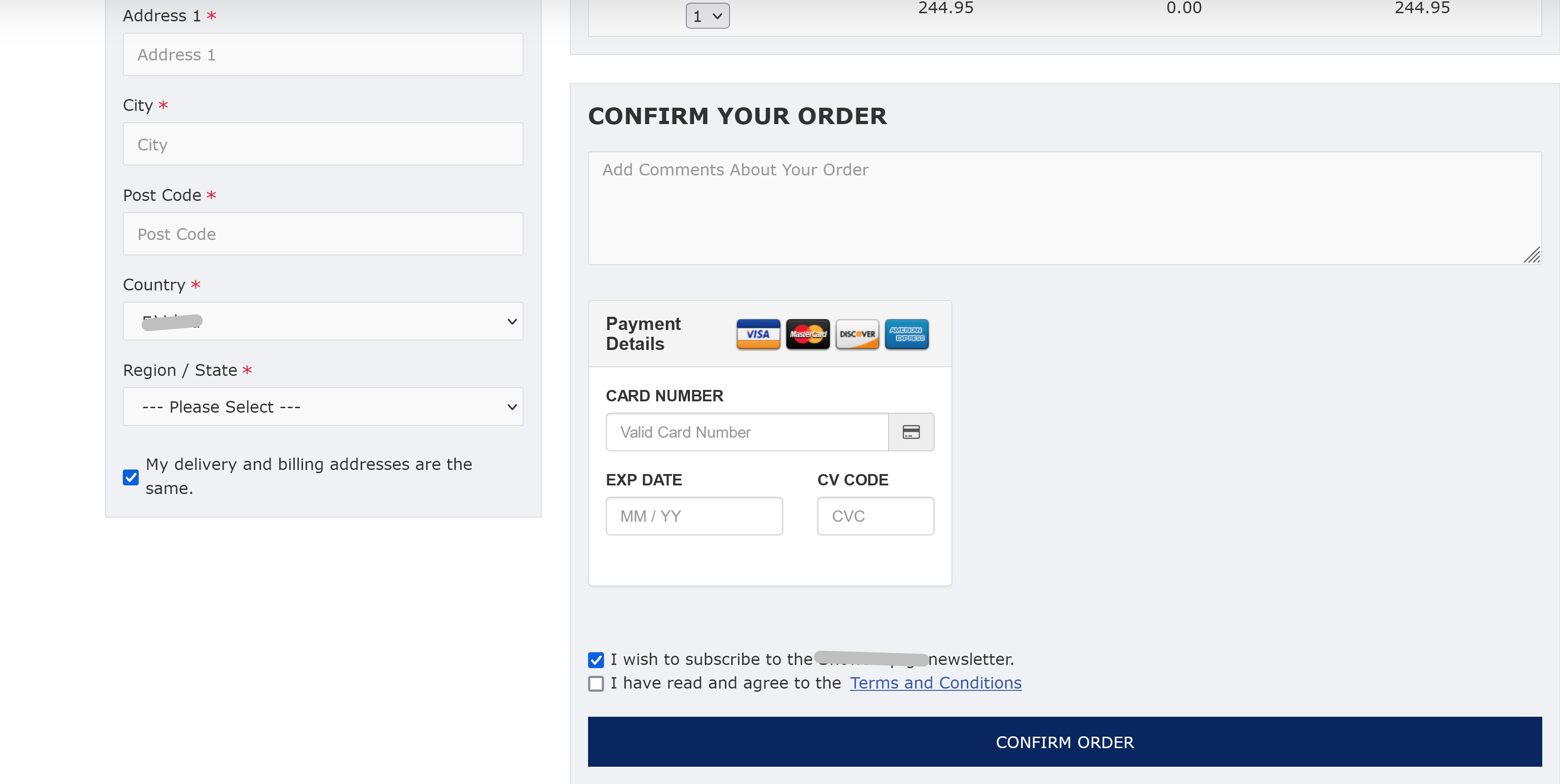 Fake-Payment-Form.png