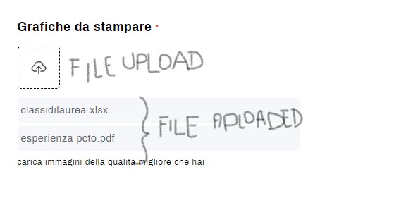 Immagine 2024-08-12 113838.jpg